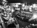 Lighting the City Hall Christmas Tree